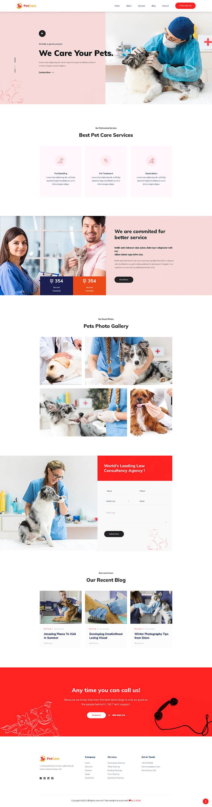 宠物医疗，宠物健康出海服务方案